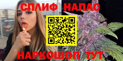 apvp Владивосток