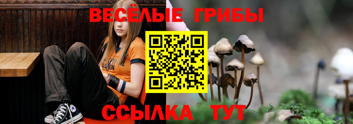 Галлюциногенные грибы Cubensis  Вход с VPN  Городец 